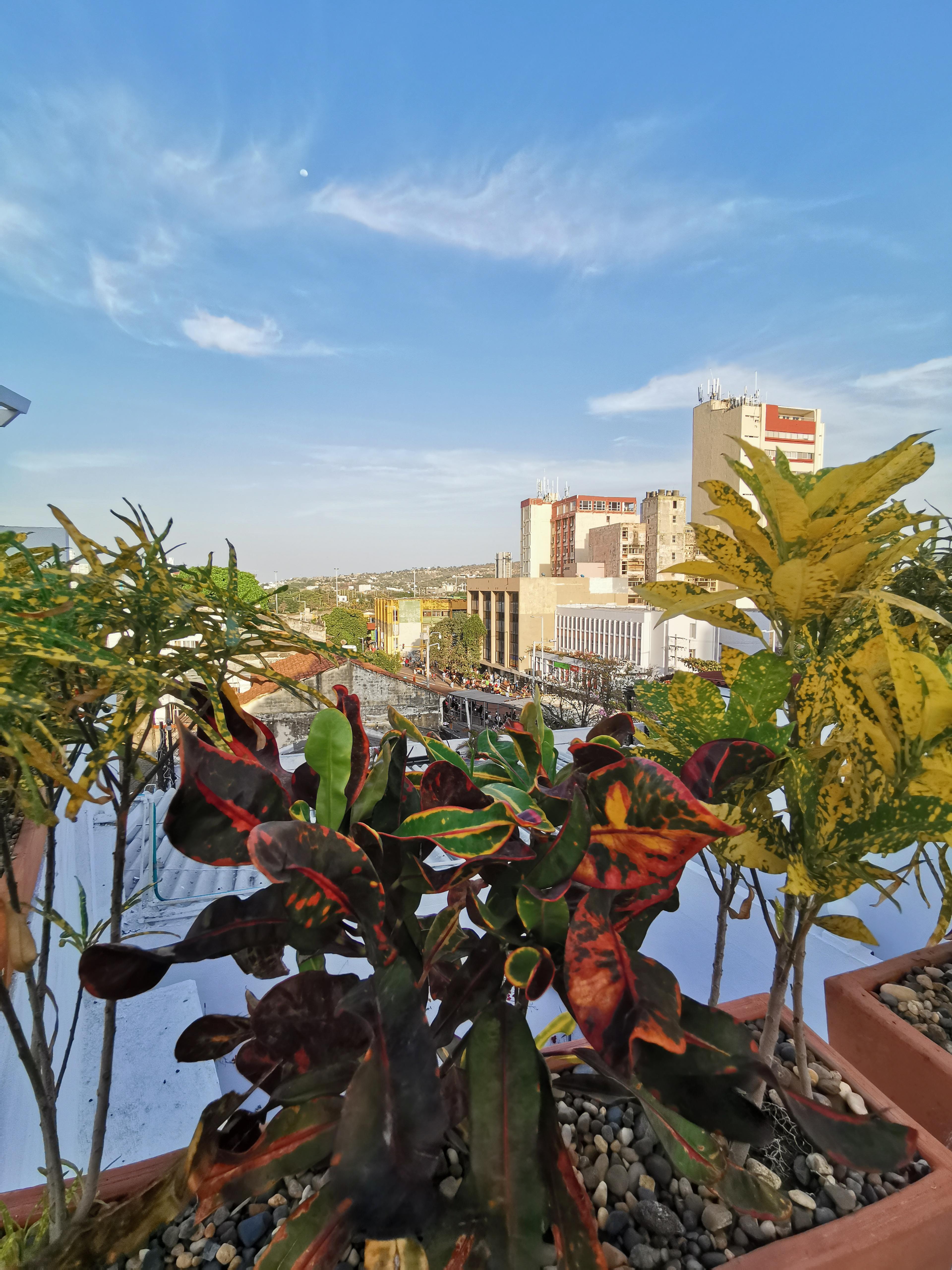 Luka Cartagena Hotel Zewnętrze zdjęcie